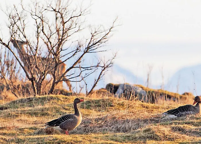 度假居 Beautiful In With Wifi *